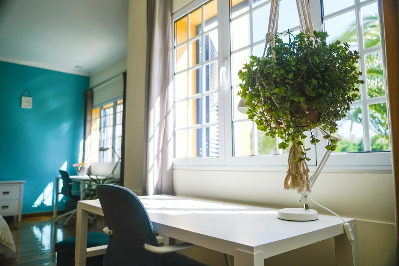 Lava Acores Coliving & Coworking ฮิเบย์รา กรันเจ ภายนอก รูปภาพ